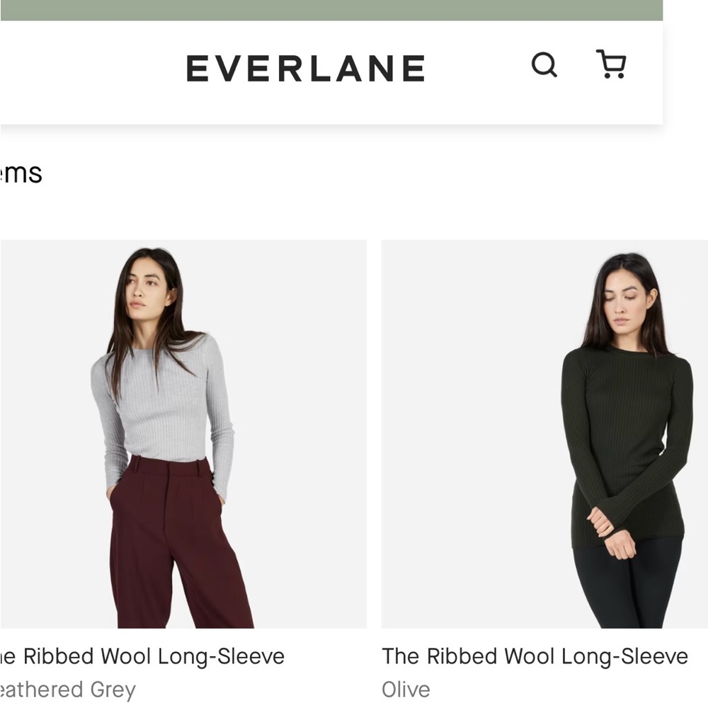 Everlane wool long sleeve crew sweater